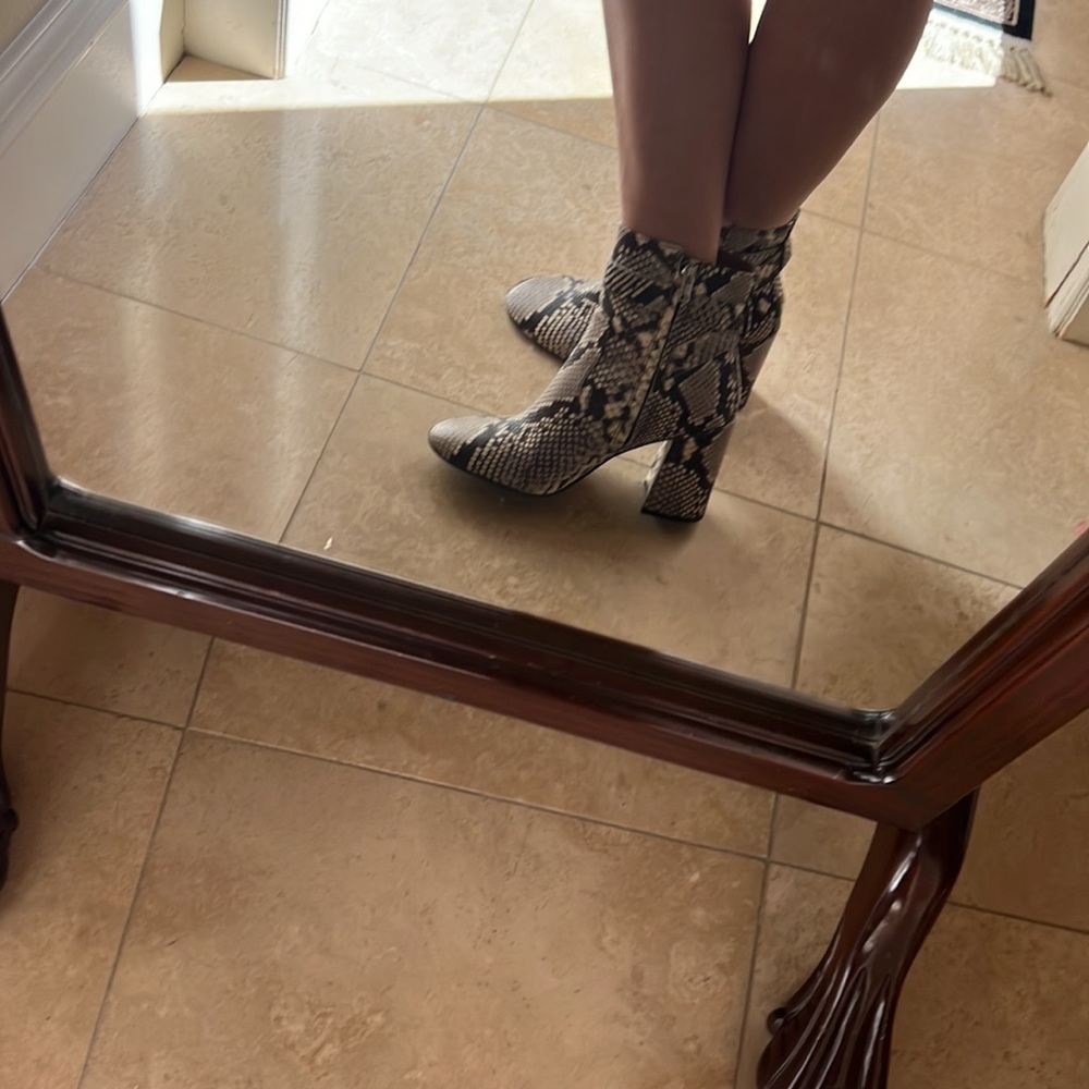 Amazing Coach Python Skin Booties - image 4